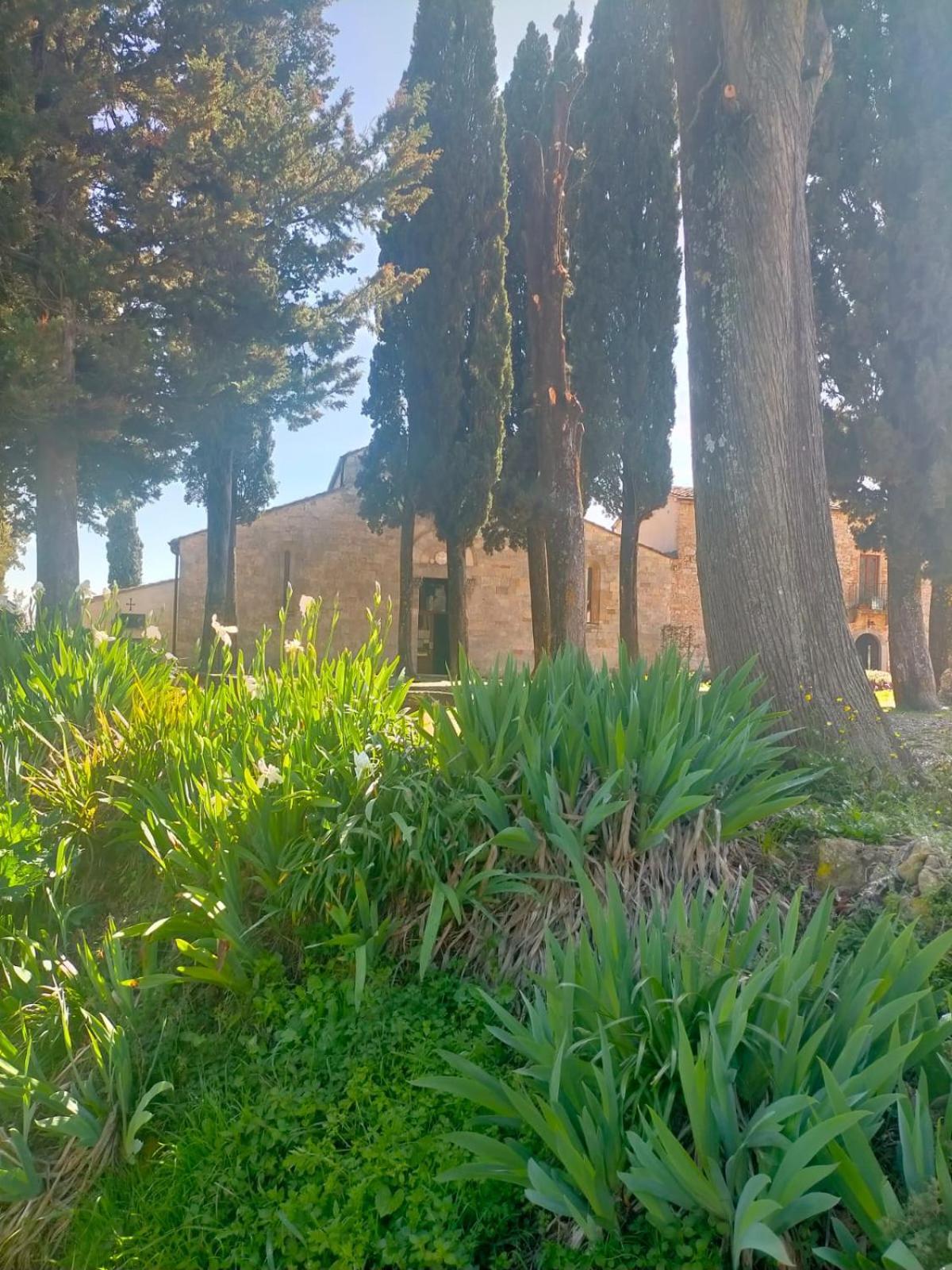 Cielo - Antica Casa Sulla Via Francigena Villa San Gimignano Dış mekan fotoğraf